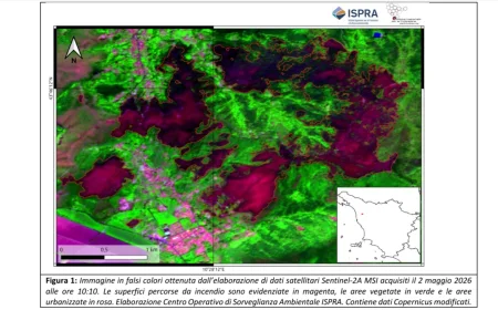 Incendi in Italia: i primi dati ISPRA e gli impatti sugli ecosistemi boschivi