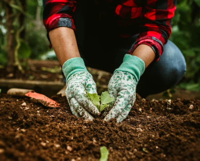 Consiglio nazionale delle ricerche e Università di Milano mettono a punto un metodo per distinguere plastiche e microplastiche nel compost 