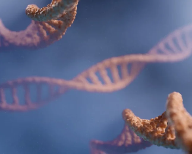 Biologia Cellulare: come le cellule riconoscono ed elaborano le informazioni genetiche contenute nell'RNA