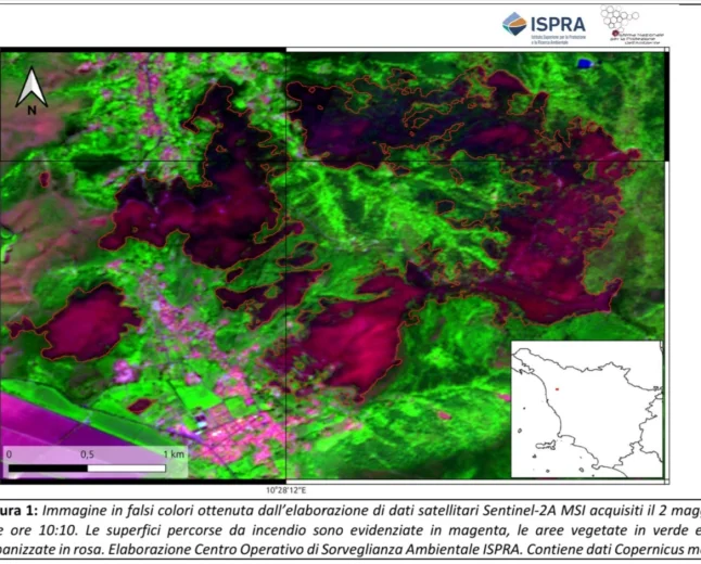 Incendi in Italia: i primi dati ISPRA e gli impatti sugli ecosistemi boschivi