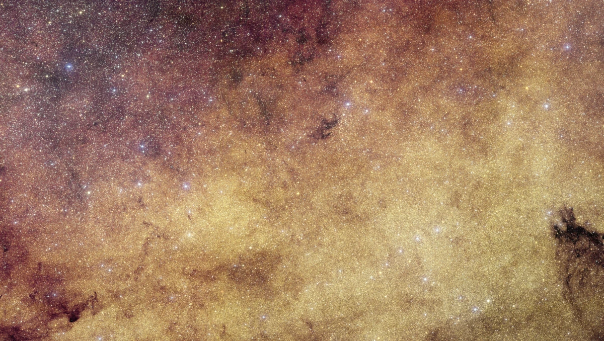 Oltre 60 milioni di stelle: l'European Space Agency ottiene la più grande e dettagliata foto del centro della Via Lattea