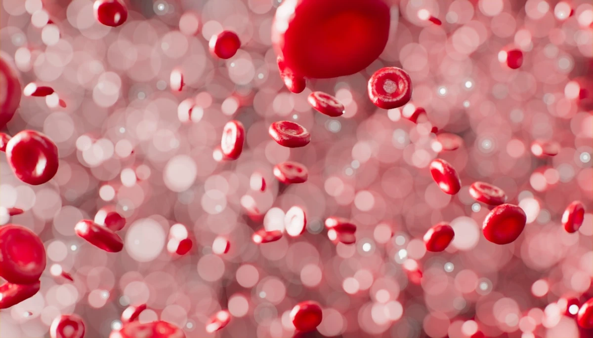 Tumori del sangue: nasce ProgEvo il modello che ricostruisce la storia genetica del tumore per aiutare medici e pazienti