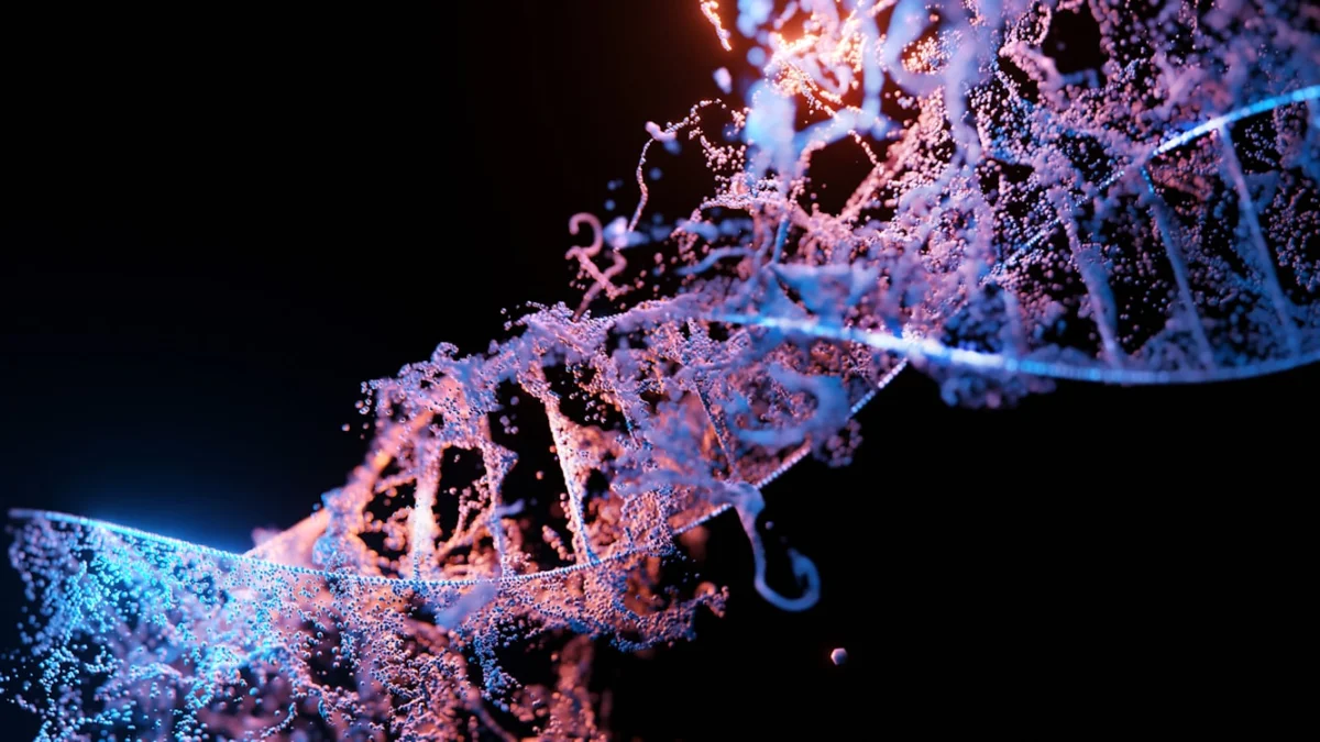 Biologia cellulare: uno studio rivela che le cellule staminali possiedono una precisa memoria biologica