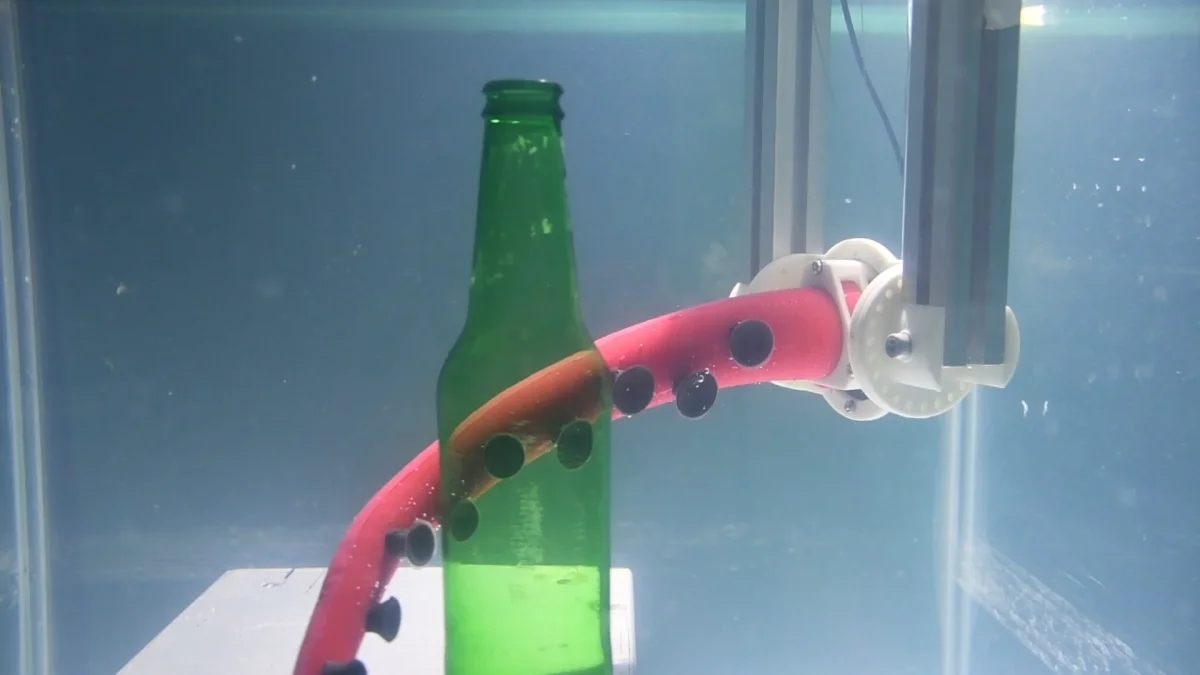 Istituto Italiano di Tecnologia: dall'oceano il braccio robotico che si ispira al polpo