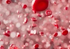 Tumori del sangue: nasce ProgEvo il modello che ricostruisce la storia genetica del tumore per aiutare medici e pazienti