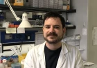 Mieloma Multiplo: finanziato il progetto del ricercatore Enrico Milan per identificare nuove vulnerabilità potenzialmente sfruttabili