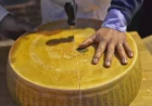 Patrimonio alimentare: salgono a 3.700 gli alimenti e le bevande europee con Indicazione Geografica protetta