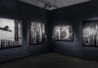 Milano: a Palazzo Reale dal 16 giugno al 6 settembre la mostra "Capolavori Fotografati" di Aurelio Amendola
