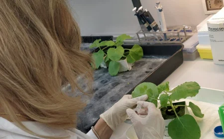 Progetto europeo REPRODIVAC: ENEA sviluppa dalle piante nuovi vaccini veterinari contro malattie trasmissibili all’uomo