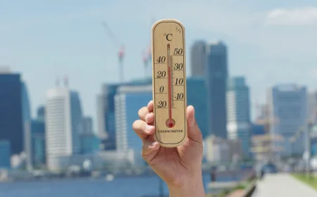  ENEA e Sapienza: a Roma nel 2019 zero ondate di calore ma 99 giorni di marcato disagio termico 