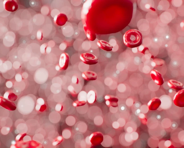 Tumori del sangue: nasce ProgEvo il modello che ricostruisce la storia genetica del tumore per aiutare medici e pazienti