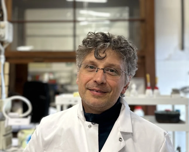 Canapa industriale: dalle infiorescenze di scarto nuove polveri proteiche sostenibili quasi prive di THC