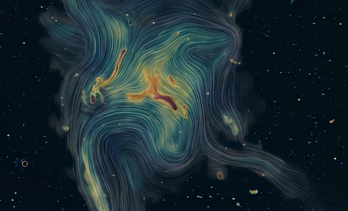 Astrofisica: il Radiotelescopio LOFAR mappa il campo magnetico di un intero ammasso di galassie