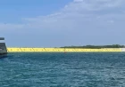 Preservare Venezia e la sua Laguna: una ricerca su una gestione "adattiva" del sistema Mo.S.E.