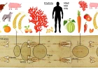 La storia recente della Sindone svelata dalle tracce di DNA rinvenute nei frammenti prelevati nel 1978