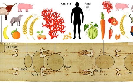 La storia recente della Sindone svelata dalle tracce di DNA rinvenute nei frammenti prelevati nel 1978