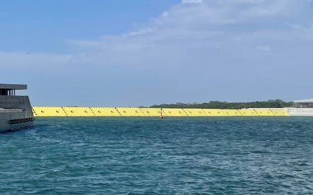 Preservare Venezia e la sua Laguna: una ricerca su una gestione "adattiva" del sistema Mo.S.E.