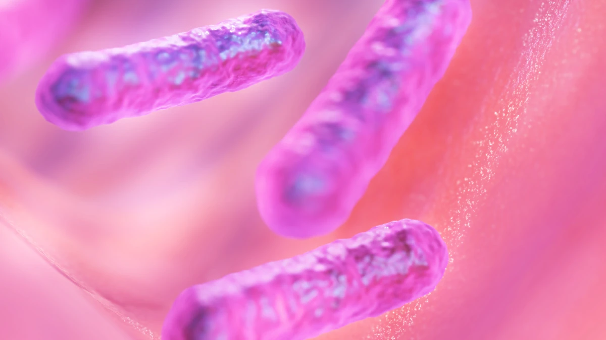 Distrofia di Duchenne: nuove evidenze sul ruolo del microbiota intestinale