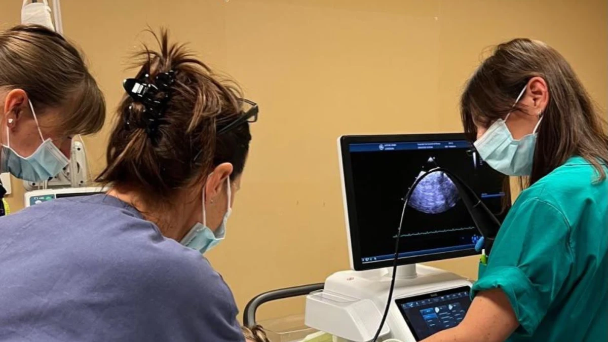 Cardiologia pediatrica: al San Gerardo la sonda ecocardiografica per neonati e bambini