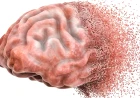 Malattie Neurodegenerative: il ruolo cruciale dell’intestino