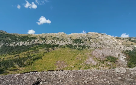 Paleosismologia | Un nuovo metodo probabilistico stima la magnitudo dei terremoti antichi a partire da tre misure geologiche 
