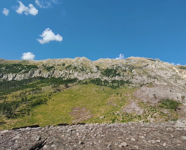 Paleosismologia | Un nuovo metodo probabilistico stima la magnitudo dei terremoti antichi a partire da tre misure geologiche 