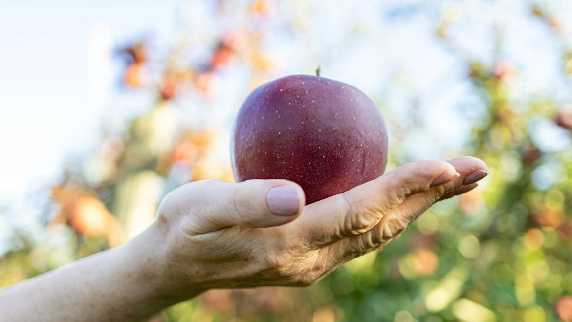 Educazione alimentare: pubblicato su Nutrients lo studio dell’innovativo progetto “Sano, giusto e con gusto!”