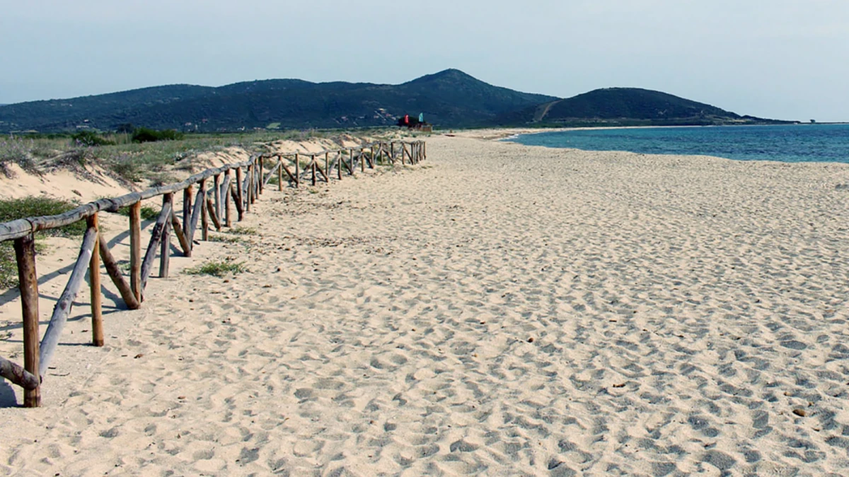 ENEA collabora con Costa Crociere: protocollo per monitorare naturalità di spiagge e dune