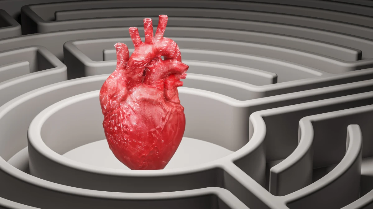 Padova protagonista della cardiologia interventistica