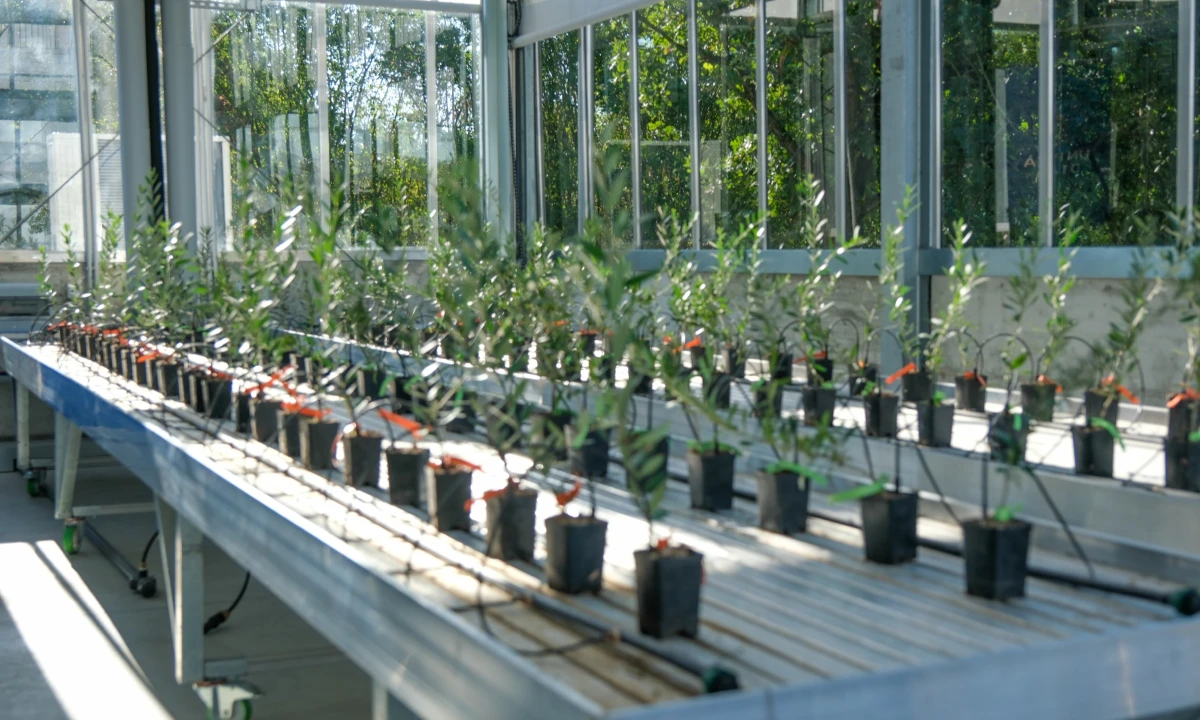 Agricoltura avanzata, digitale e sostenibile: inaugurato Living Lab, la nuova serra ad alta automazione dell'Università di Parma