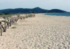 ENEA collabora con Costa Crociere: protocollo per monitorare naturalità di spiagge e dune