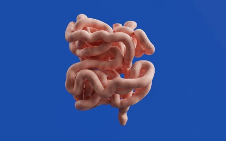 Università di Parma: dal 17 al 19 settembre si terrà il "2nd International Symposium on Bidifobacterial Biology"