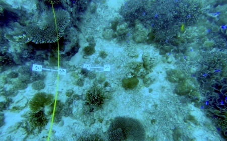Progetto europeo SEASTRONG: conclusa a Seychelles una missione che studia le difese naturali delle coste tropicali