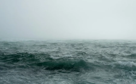 Clima: uno studio di ENEA rivela che i venti deboli riducono l’assorbimento di CO₂ nel Mediterraneo