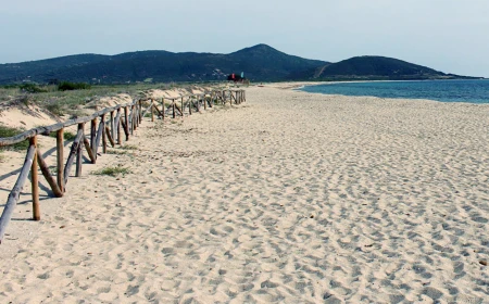 ENEA collabora con Costa Crociere: protocollo per monitorare naturalità di spiagge e dune