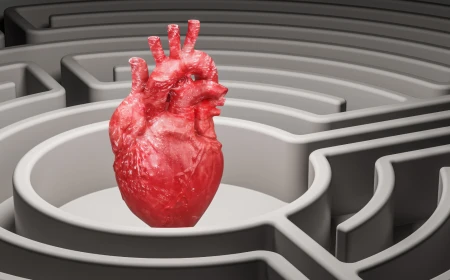 Padova protagonista della cardiologia interventistica