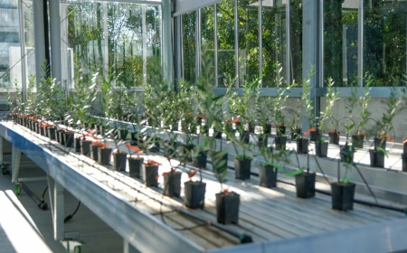 Agricoltura avanzata, digitale e sostenibile: inaugurato Living Lab, la nuova serra ad alta automazione dell'Università di Parma