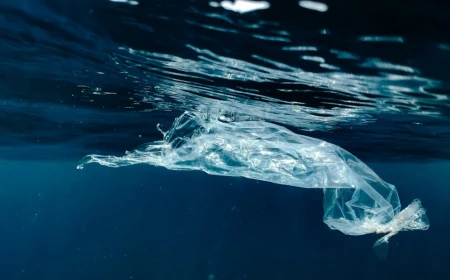 Inquinamento: nuove immagini radar satellitari aiutano a individuare dallo spazio la plastica in mare