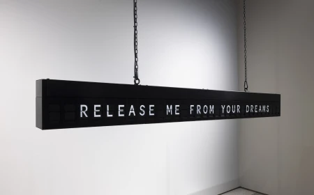 Alla Galleria d'Arte Moderna di Milano la mostra "One Palm Closer to the Sky" dell'artista Shilpa Gupta