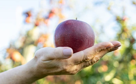 Educazione alimentare: pubblicato su Nutrients lo studio dell’innovativo progetto “Sano, giusto e con gusto!”