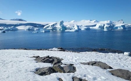 Fusione accelerata dei ghiacciai: il motore della perdita di ghiaccio polare e dell'aumento globale del livello del mare