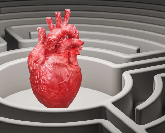 Padova protagonista della cardiologia interventistica