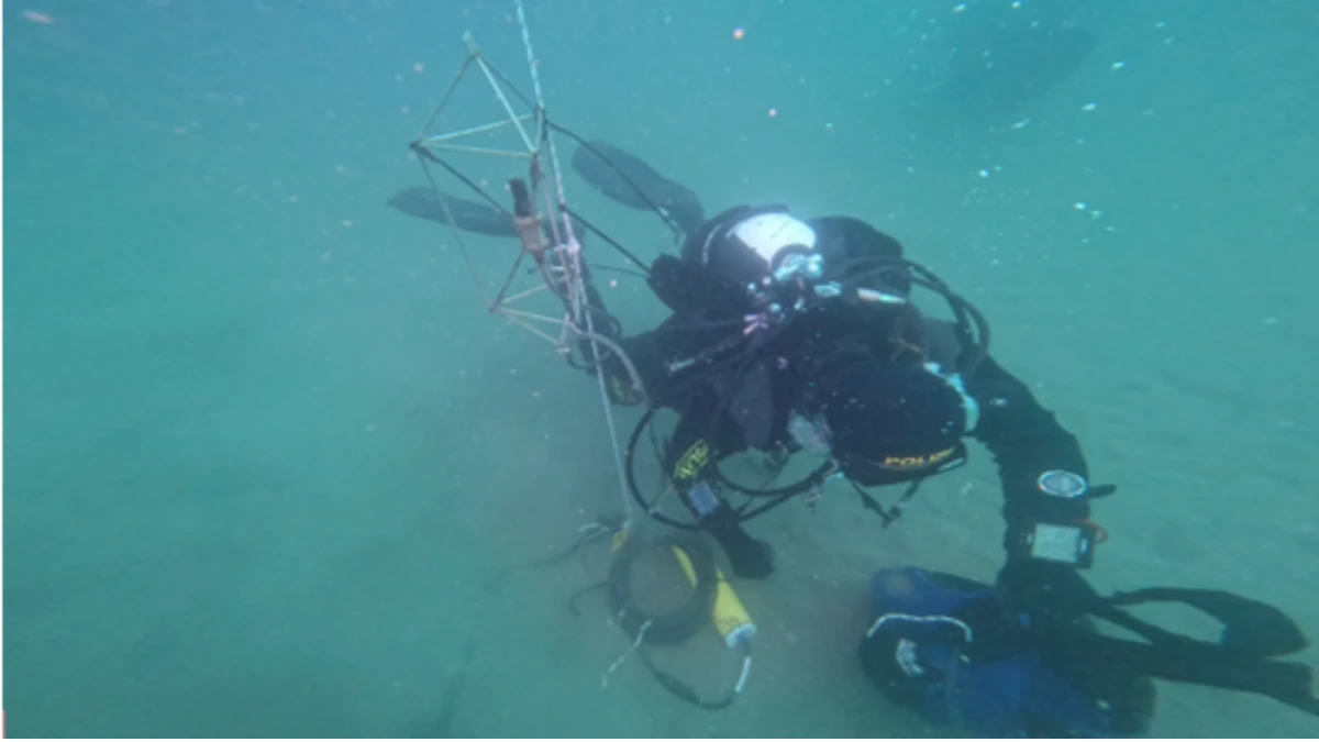 CNR, i suoni sottomarini come termometro della salute del mare