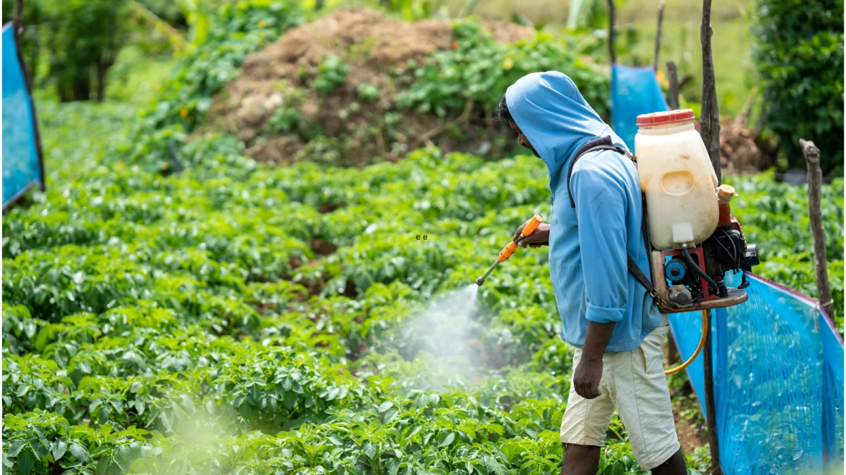 Università di Parma, pesticidi come farmaci: il progetto Per-BIO contro le resistenze