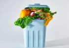 ENEA al Forum FAO di Roma: il 13 ottobre mostra sul riuso degli scarti agroalimentari