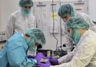 Politecnico di Torino sulla Stazione Spaziale: SCAMPI porta un ecosistema acquatico in microgravità
