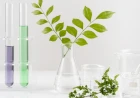 Università di Padova, Piante & Salute 3.0 mette a fuoco l'inflammaging: officinali e invecchiamento