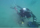 CNR, i suoni sottomarini come termometro della salute del mare