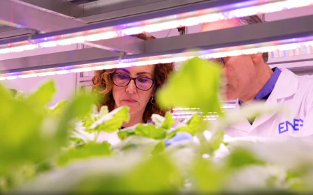 ENEA inaugura la biofabbrica PharmaGREEN per la produzione rapida di biofarmaci