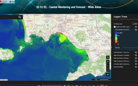 Costellazione IRIDE: al via i primi servizi geospaziali a supporto della pubblica amministrazione